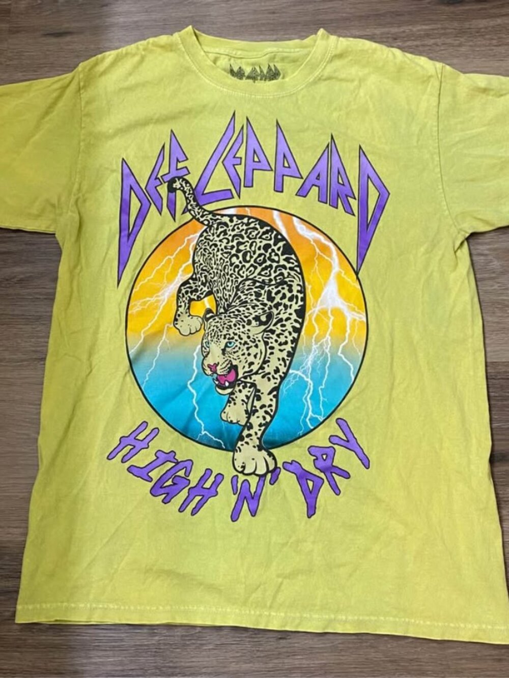 Def Leppard High ’n’ Dry Vintage-Style Graphic T-Shirt – Cat Lightning Design –